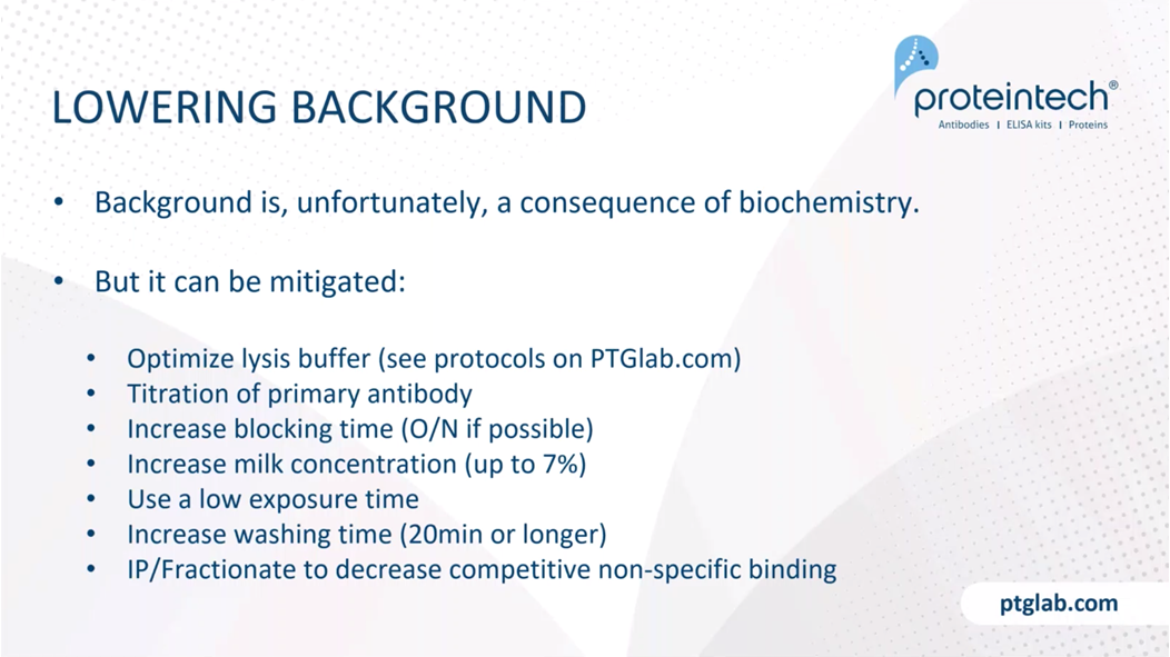 lowering background for western blotting