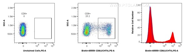 Flow cytometric analysis of human PBMCs using Biotin anti-human CD8 and CoraLite®555-conjugated Streptavidin. Human PBMCs were stained with Biotin CD8 Recombinant Antibody (Cat.No. Biotin-65559, Clone: UCHT4), washed with PBS, and stained with CoraLite®555-conjugated Streptavidin (Cat.No.CL555-PF00030) and analyzed by flow cytometry. Flow cytometric analysis of human PBMCs using Biotin anti-human CD8 and CoraLite®555-conjugated Streptavidin. Human PBMCs were stained with Biotin CD8 Recombinant Antibody (Cat.No. Biotin-65559, Clone: UCHT4), washed with PBS, and stained with CoraLite®555-conjugated Streptavidin (Cat.No.CL555-PF00030) and analyzed by flow cytometry.