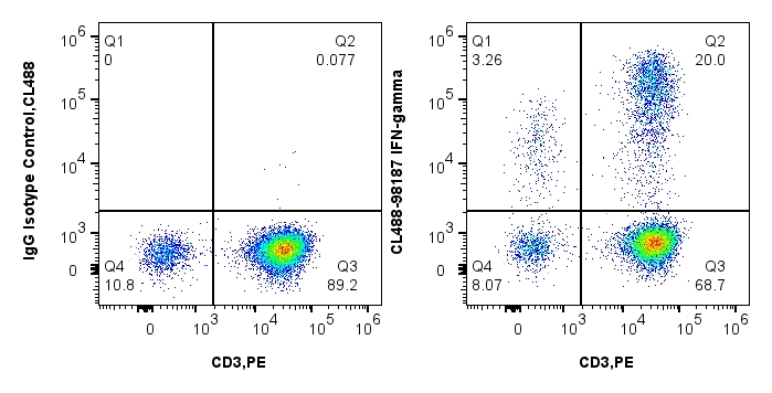 1x10^6 PMA, Ionomycin and Brefeldin A treated human PBMCs were intracellularly stained with 5 uL CoraLite® Plus 488 Anti-Human IFN-gamma Rabbit Recombinant Antibody (CL488-98187, Clone: 241390B10) or 5 uL CoraLite® Plus 488 Rabbit IgG Isotype Control Recombinant Antibody (CL488-98136, Clone: 240953C9) and 5ul PE Anti-Human CD3 (OKT3) Mouse IgG2a Recombinant Antibody (PE-65569, Clone: OKT3). Cells were fixed and permeabilized with Intracellular Flow Cytometry Fixation & Permeabilization Buffer Kit (PF00019). 1x10^6 PMA, Ionomycin and Brefeldin A treated human PBMCs were intracellularly stained with 5 uL CoraLite® Plus 488 Anti-Human IFN-gamma Rabbit Recombinant Antibody (CL488-98187, Clone: 241390B10) or 5 uL CoraLite® Plus 488 Rabbit IgG Isotype Control Recombinant Antibody (CL488-98136, Clone: 240953C9) and 5ul PE Anti-Human CD3 (OKT3) Mouse IgG2a Recombinant Antibody (PE-65569, Clone: OKT3). Cells were fixed and permeabilized with Intracellular Flow Cytometry Fixation & Permeabilization Buffer Kit (PF00019).