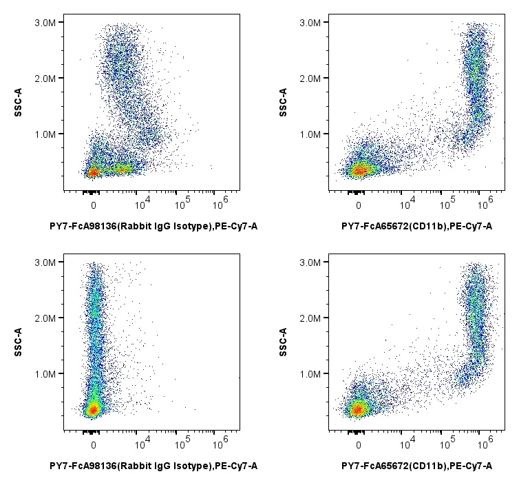 MonoZero™ Monocytes Blocking Reagent染色缓冲液减少小鼠骨髓细胞中抗体非特异性结合。添加或未加MonoZero™ Monocytes Blocking Reagent染色缓冲液后,使用PY7-FcA98136(兔IgG同型), PY7-FcA65672(anti-mouse CD11b)孵育小鼠骨髓细胞。结果表明,添加MonoZero™ Monocytes blocking染色缓冲液实验组非特异性结合显著减少,且未影响抗体的特异性结合。
第一行:未加Monozero™ Monocytes Blocking Reagent染色缓冲液;
第二行:添加Monozero™ Monocytes Blocking Reagent染色缓冲液。 MonoZero™ Monocytes Blocking Reagent染色缓冲液减少小鼠骨髓细胞中抗体非特异性结合。添加或未加MonoZero™ Monocytes Blocking Reagent染色缓冲液后,使用PY7-FcA98136(兔IgG同型), PY7-FcA65672(anti-mouse CD11b)孵育小鼠骨髓细胞。结果表明,添加MonoZero™ Monocytes blocking染色缓冲液实验组非特异性结合显著减少,且未影响抗体的特异性结合。
第一行:未加Monozero™ Monocytes Blocking Reagent染色缓冲液;
第二行:添加Monozero™ Monocytes Blocking Reagent染色缓冲液。