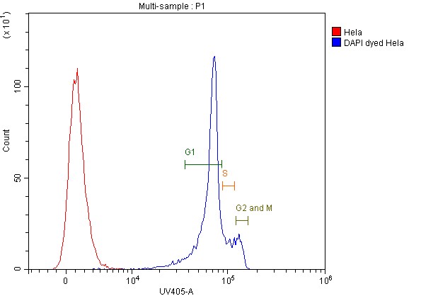 2.5x10^6 HeLa cells were intracellularly stained with DAPI (PR30021, blue). Cells were fixed with 4% PFA. 2.5x10^6 HeLa cells were intracellularly stained with DAPI (PR30021, blue). Cells were fixed with 4% PFA.