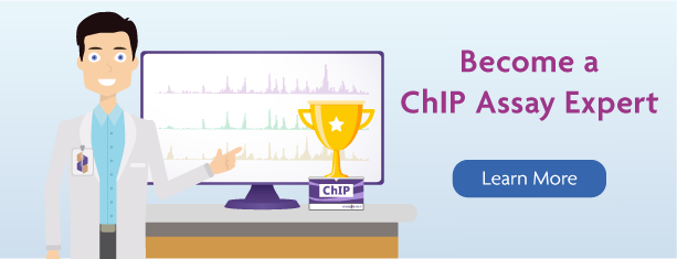 Become a ChIP Assay Expert