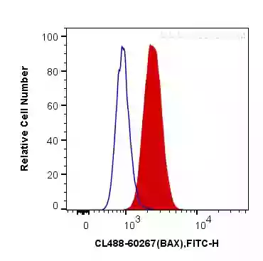 Intracellular flow cytometry analysis of Hela cells using CoraLite®488 BAX antibody (CL488-60267, Clone:4G5E8) (red), or Mouse IgG2b Isotype Control (CL488-66360-3, Clone: K11B8C4B5) (blue).